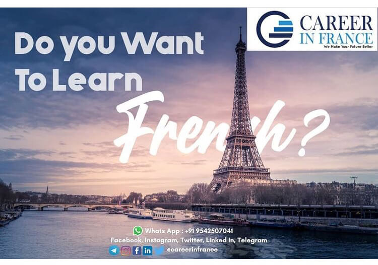 Learn French In France