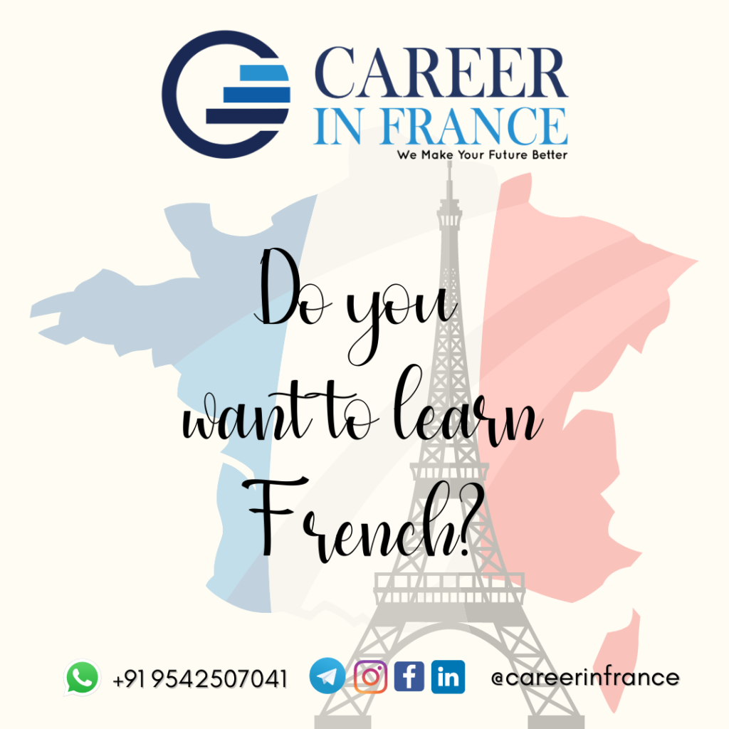 Career in France