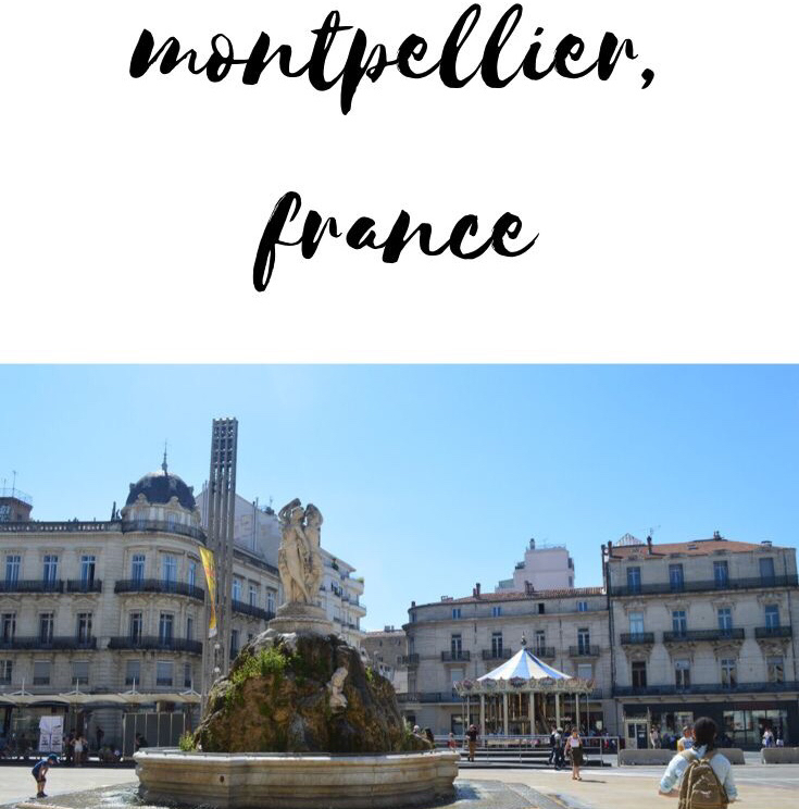 French Classes in France
